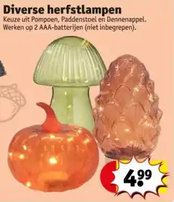 Kruidvat Diverse Herfstlampen aanbieding