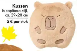 TEDi Kussen aanbieding