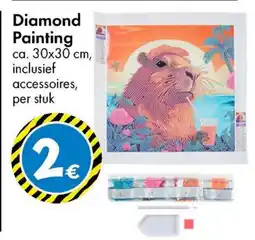 TEDi Diamond Painting aanbieding