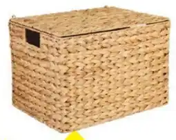 TEDi Opbergmand van Waterhyacint aanbieding