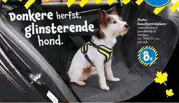 TEDi Auto beschermdeken aanbieding