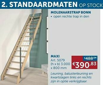 Zelfbouwmarkt Molenaarstrap bonn maxi aanbieding