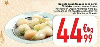 Cora Noix de saint-jacques sans corail sint-jakobsnoten zonder koraal aanbieding