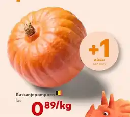 OKay Kastanjepompoen aanbieding