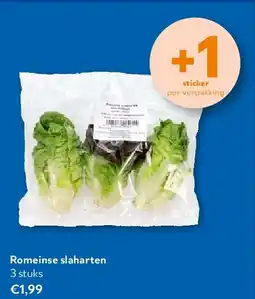 OKay Romeinse slaharten aanbieding