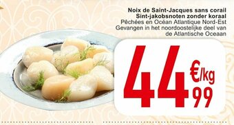 Noix de Saint-Jacques sans corail Sint-jakobsnoten zonder koraal