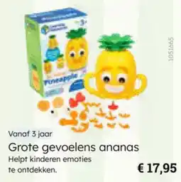 Multi bazar Grote gevoelens ananas aanbieding