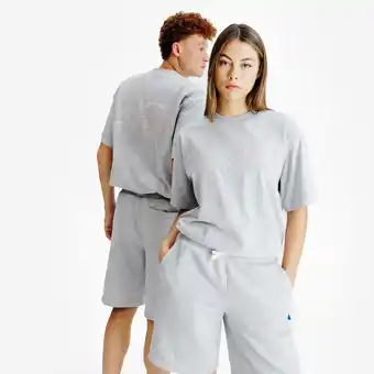 Decathlon T-shirt met print gemêleerd grijs aanbieding