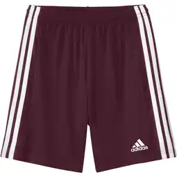 Decathlon Adidas Squadra 21 Kinder Shorts Team Maroon/White (116cm) aanbieding