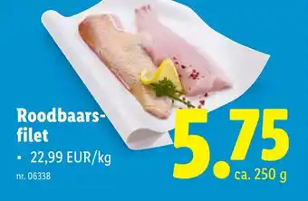 Lidl Roodbaars- filet aanbieding