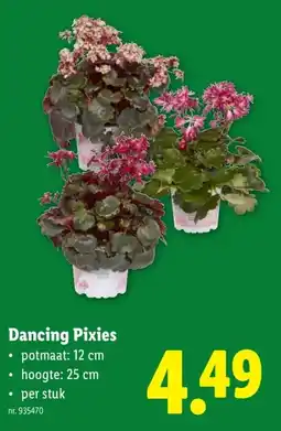Lidl Dancing Pixies aanbieding