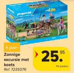 Carrefour Zonnige excursie met koets aanbieding