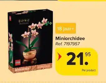 Carrefour Miniorchidee aanbieding