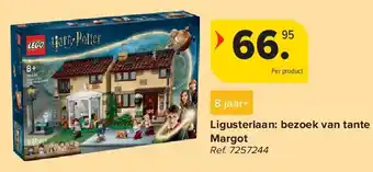Carrefour Ligusterlaan: bezoek van tante Margot aanbieding