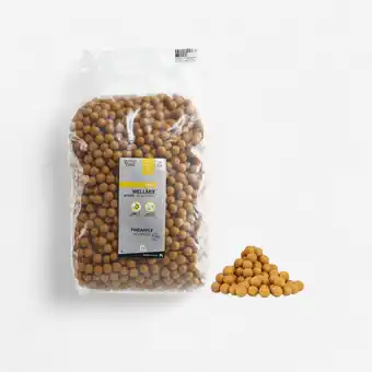 Decathlon Boilies voor karper Wellmix 20 mm 10 kg ananas aanbieding