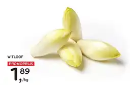 Alvo Witloof aanbieding