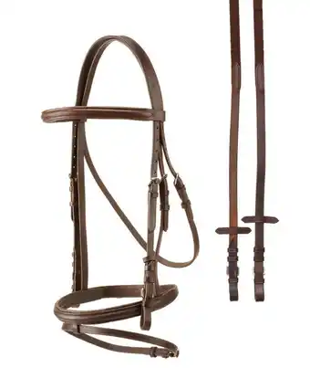 Decathlon Paardenhoofdstellen econ profiel Tattini (1404132) aanbieding