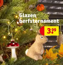 Kruidvat Glazen herfstornament aanbieding