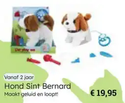 Multi bazar Hond Sint Bernard aanbieding