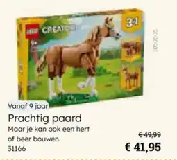 Multi bazar Prachtig paard aanbieding