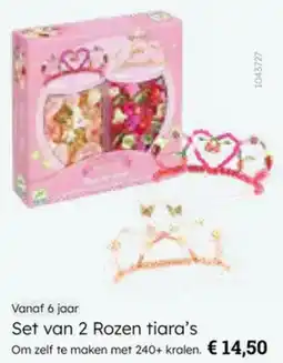 Multi bazar Set van 2 Rozen Tiara's aanbieding