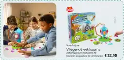 Multi bazar Vliegende eekhoorns aanbieding
