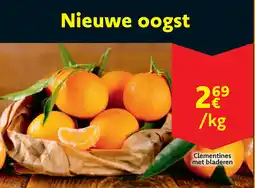 Cora Clementines met bladeren aanbieding