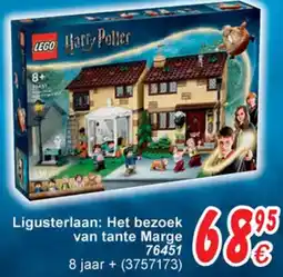 Cora Lego Harry Potter Ligusterlaan: Het bezoek van tante Marge 76451 aanbieding