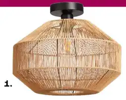 Kwantum Plafonnières Segi aanbieding