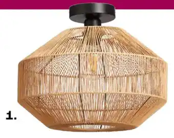 Kwantum Plafonnières Segi aanbieding