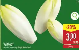 ALDI Witloof aanbieding