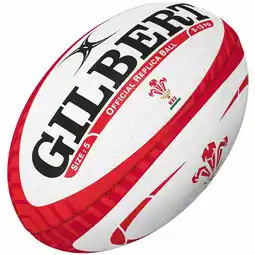 Decathlon Set van 10 Ballen Wales aanbieding