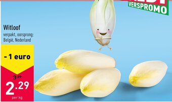 ALDI Witloof aanbieding