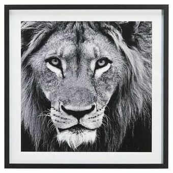 Kwantum Wanddecoratie Leeuw Zwart aanbieding
