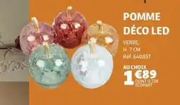 GiFi Pomme Déco Led aanbieding