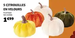 GiFi 5 Citrouilles En Velours aanbieding