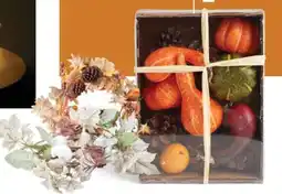 GiFi Kit Décoration Automnale aanbieding