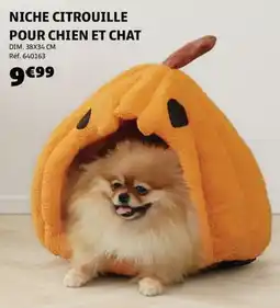 GiFi Niche Citrouille Pour Chien et Chat aanbieding
