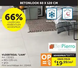 Zelfbouwmarkt Betonlook Vloertegel Liam aanbieding