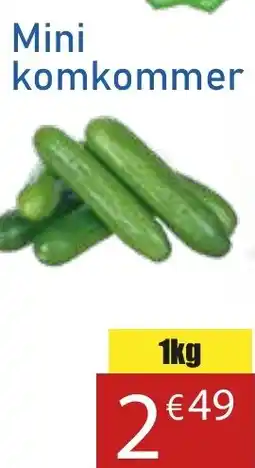 Tanger Markt Mini komkommer aanbieding