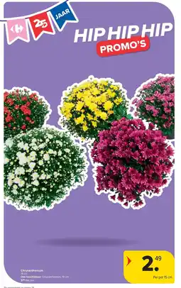 Carrefour Market Chrysanthemum aanbieding