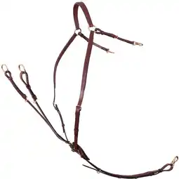Decathlon Jachthalsband voor paard met zadelriemen BR Equitation Rayleigh aanbieding