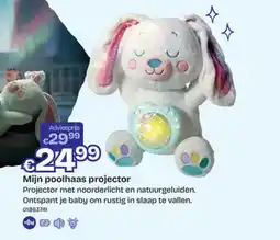 Dreamland Mijn poolhaas projector aanbieding