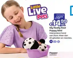 Dreamland My Really Real Puppy Mini aanbieding