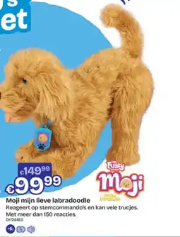 Dreamland Moji mijn lieve labradoodle aanbieding