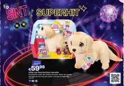 Dreamland Little live pets ouchies labrador aanbieding