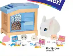 Dreamland Konijntjes aanbieding