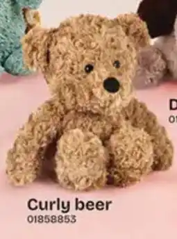 Dreamland Curly beer aanbieding