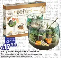 Dreamland Harry Potter Hagrids Hut Terrarium aanbieding