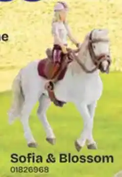 Dreamland Sofia & Blossom aanbieding